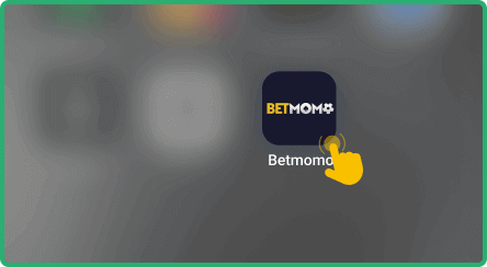 Allow installations from unknown sources and install the app