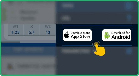 Download the application